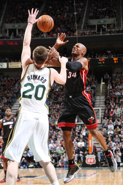 的热爱和对 的热爱和对