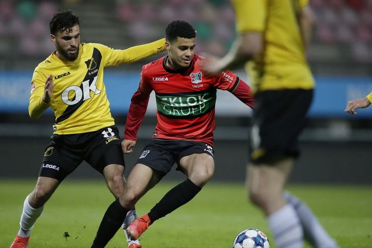 稳定型选手 稳定型选手